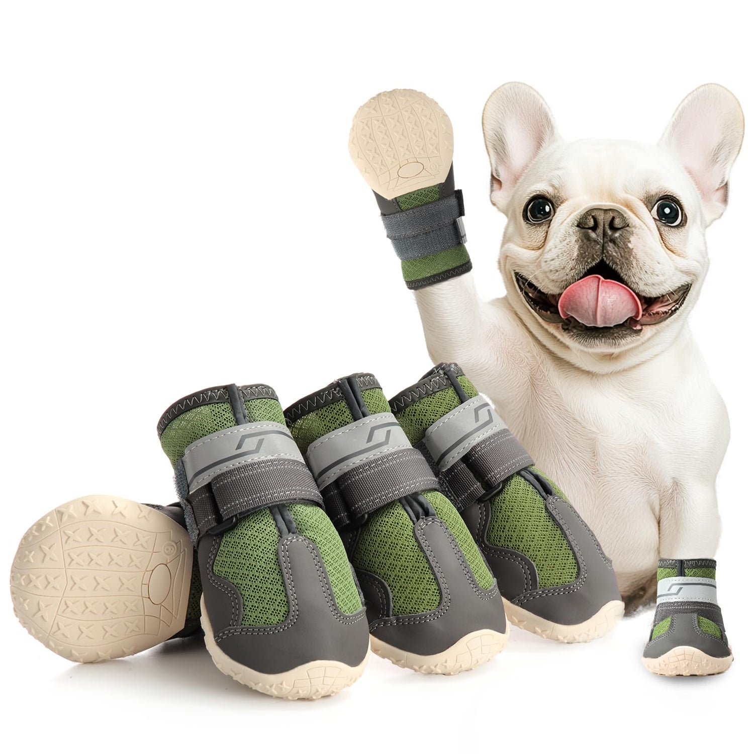 Dog Boots