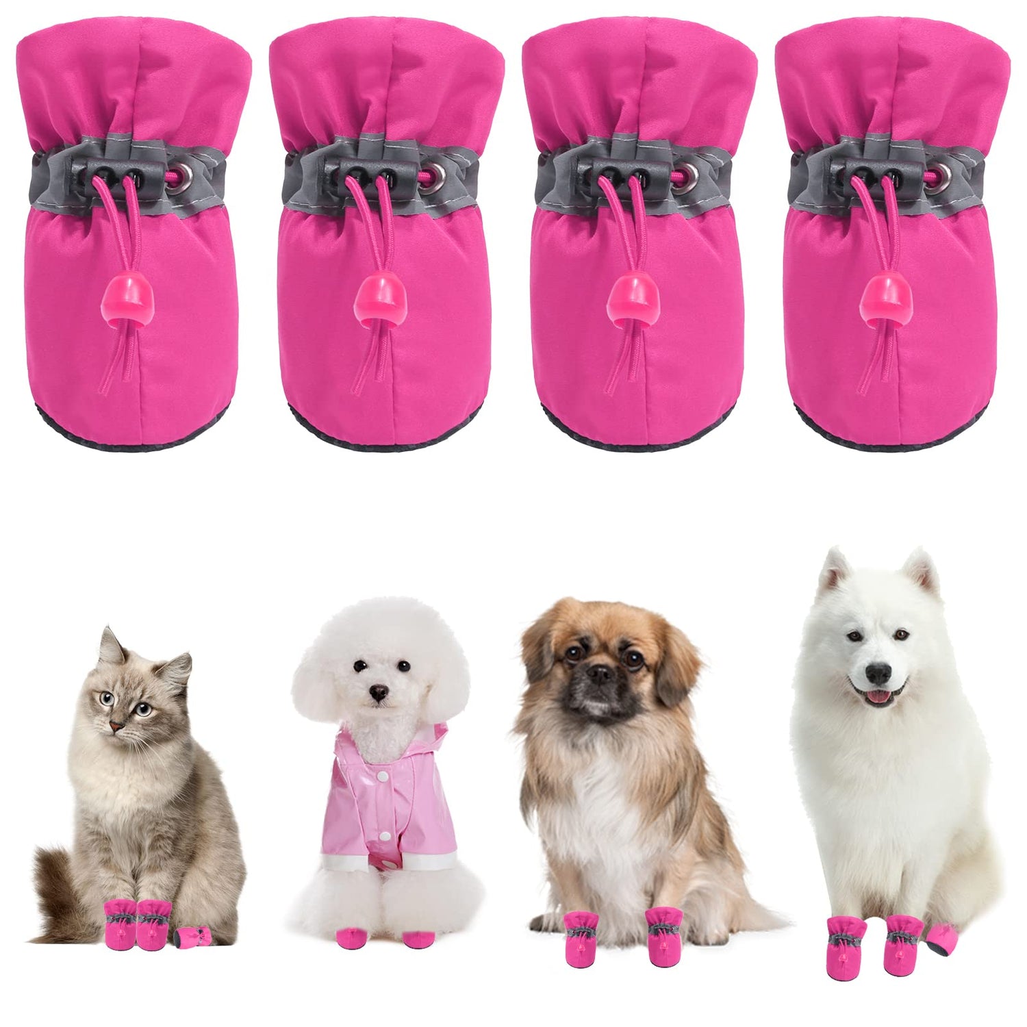 Cats Boots
