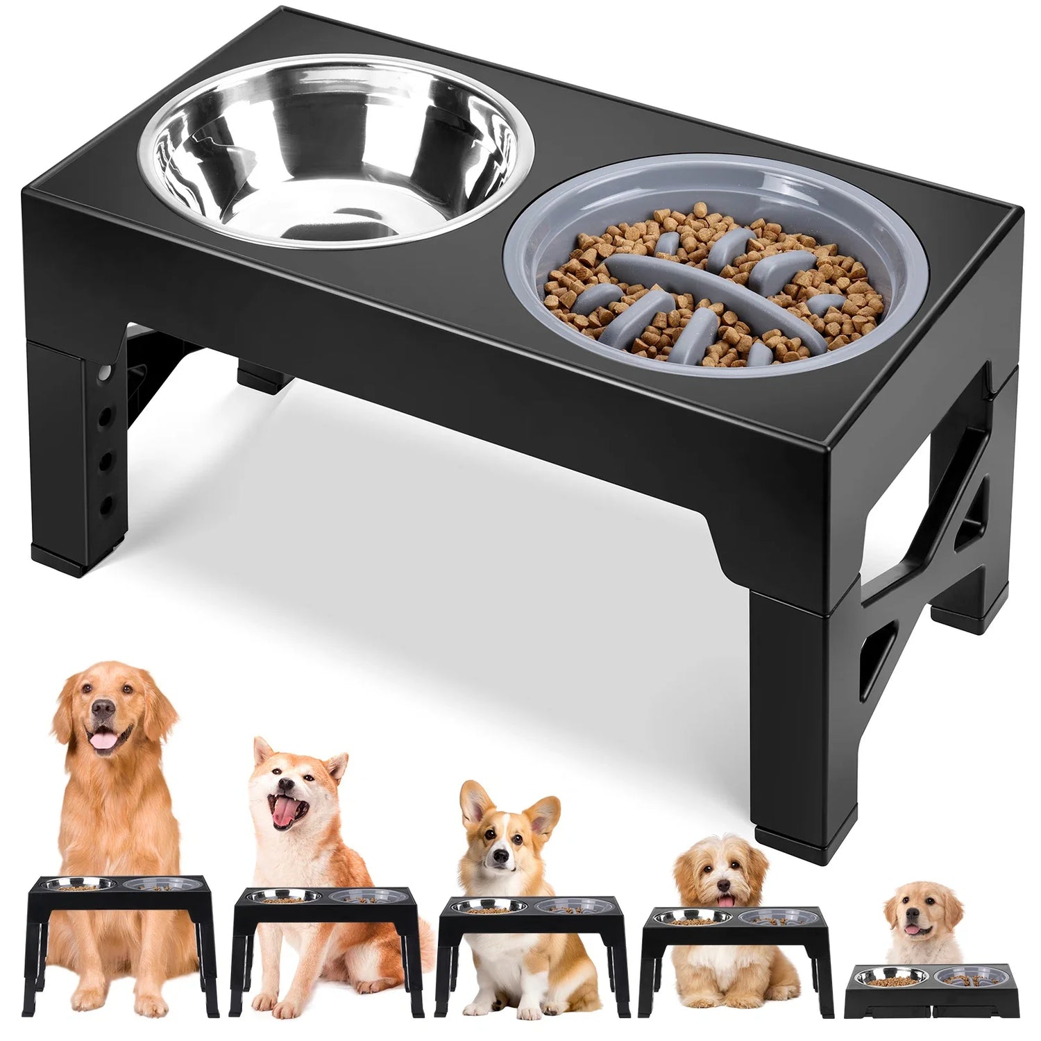 Dog Feeding Bowls