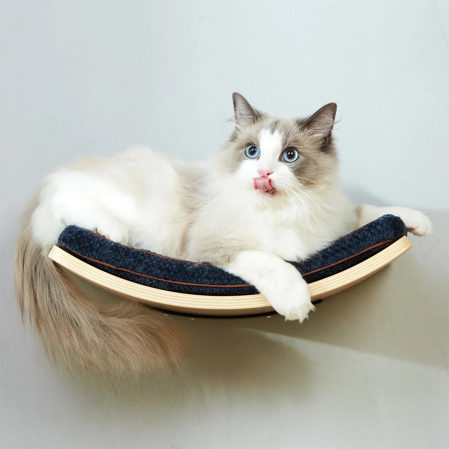 Cat Beds